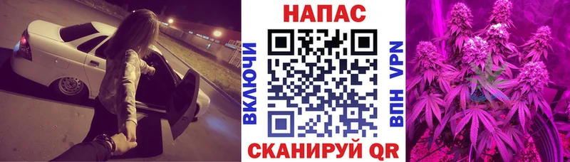 Каннабис MAZAR  купить наркоту  кракен как войти  Луга 